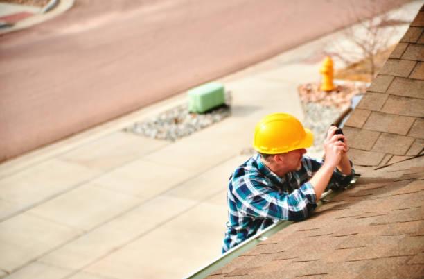 Best Roof Moss and Algae Removal  in Shively, KY